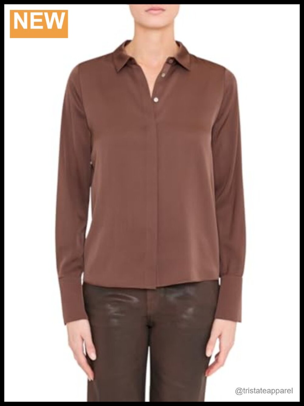 Long Sleeve Silk Blouse Collared Neck Regular Fit